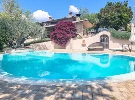 house paradiso