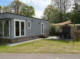 Chalet Pallegarste 153，位于Mariënberg的酒店