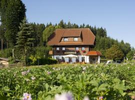 Gasthaus Schweizerhof，位于蒂蒂湖-新城的酒店