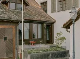 Färberhaus Denkmal Rheinfall Schaffhausen Bodensee