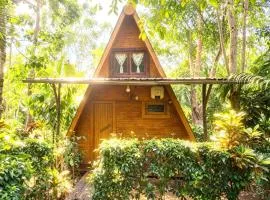 ECO-POR