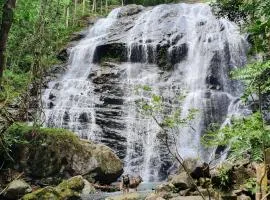 CHAMBRE en PLEINE FORÊT EN BAS DU PIC MALAOUI maison partagée