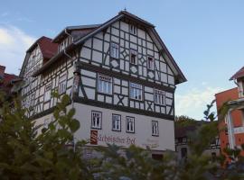 Hotel Saxenhof der Rhöner Botschaft，位于Dermbach的酒店