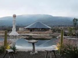 Casa X