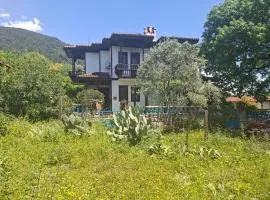 Villa İkiz