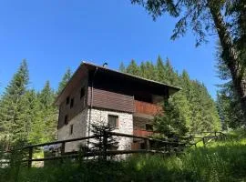 Triglav NP Apartment - above Bled
