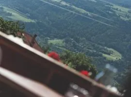 Pixnerhof - Topaz