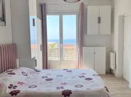 Casa Monica - confort , détente et jardin au cœur de Cargese