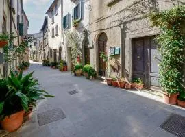 2 Bedroom Pet Friendly Apartment In Scansano