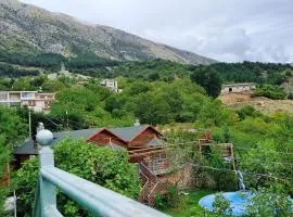 Bujtina Anesi