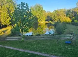 Maison 12 personnes terrain et etang privée