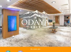 ODAYA Hotel & Coworking by NP House，位于班斯科的酒店
