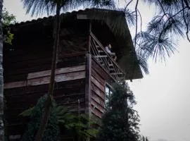 Bosque de Niebla