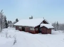 Gorgeous Home In Venabygd With Sauna