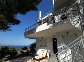 Mikro Amoni Beach Villa
