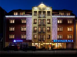 萨沃伊酒店，位于捷克布杰约维采的Spa酒店