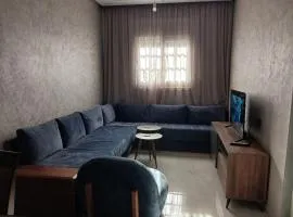 Quiet and comfortable apartment for a family