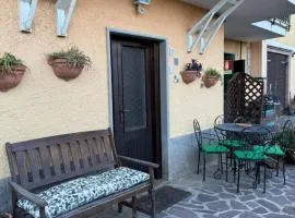 Il Cactus