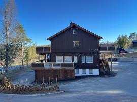 Haugetuft Apartments，位于Åmot的酒店