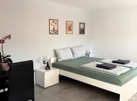 Apartments Britof Kranj