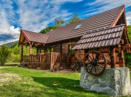 The Little Mountain Cabin，位于Borlova的山林小屋