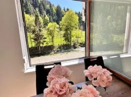 Rina Apartments, Cozy Riverside Stay in Luče, near Logar Valley