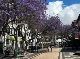 Teleferico Center Funchal