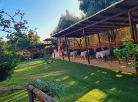 Agriturismo Punta Su Cunventu