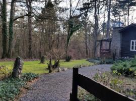 Chalet des pins d'Autriche，位于Comblain-Fairon的酒店
