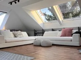 Modern Attic Loft