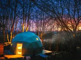 The Tree Dome - Ukc6979