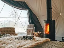 The Star Dome - Ukc6978