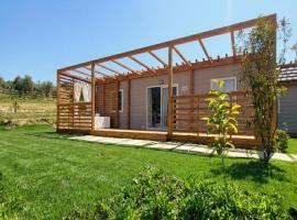 VioVillas Agriturismo Glamping Jacuzzi Arezzo，位于阿雷佐的酒店