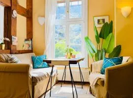 FewoZauber - 5 Apartments Klosterstrasse, Direkt am Schloss, Garten, Küche, 2 x Kamin, Fahrräder abstellbar