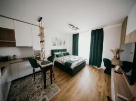 D Mol Studio apartman