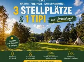 Camping Müritz Nationalpark - Wohnmobilstellplatz in der Mecklenburgischen Seenplatte Strom & Wasser vor Ort