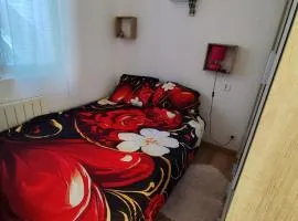 Appartement Centre Ville