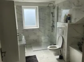 Maison avec jardin dans un quartier résidentiel