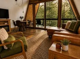 Dogwood Den- Cozy Forest A-Frame Near Bentonville