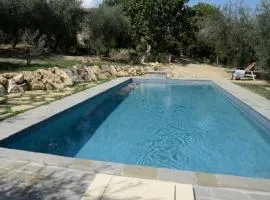 Tenuta L'uliveto
