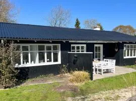 Lovely Home In Blokhus With Sauna