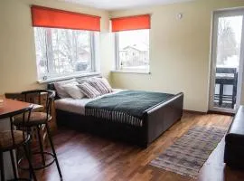 Modern Apartment