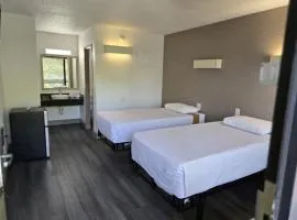Bloomfield Oasis