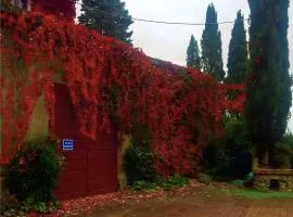 Fattoria Bellosguardo Fiorentino