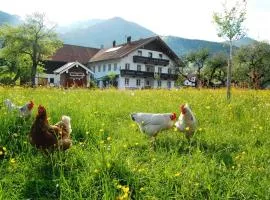 Haiderhof