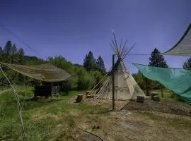Incredible Secluded Tipi Nestled Amidst Trees and Fire Pit Provided in Garden Valley, Idaho
