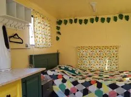 Truck Caravan Rustic Sunflower