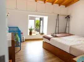 Viosinho guest house