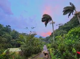 EcoLodge La Pluma