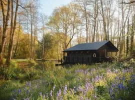 Yogi's Cabin
